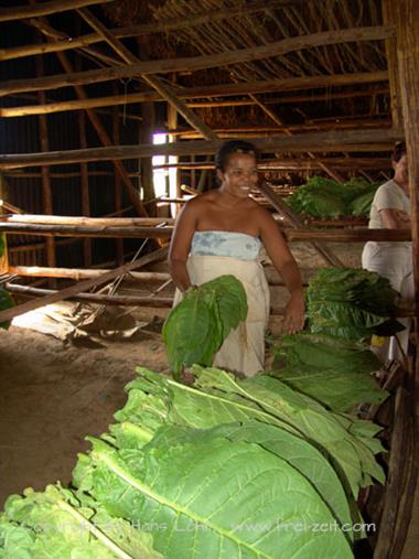 2004 Cuba, Havanna - Maria la Gorda, DSC00538 B_B720